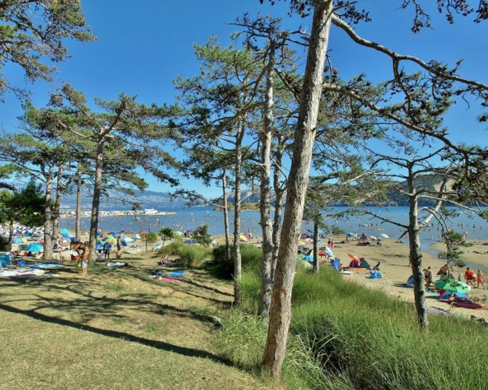 apartments-roza-lopar-12 apartments-roza-lopar-12